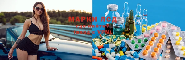прущие грибы Абдулино
