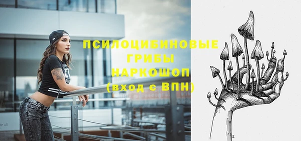стаф Абинск