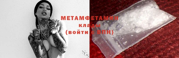 индика Инсар