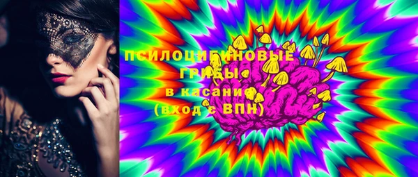 стаф Абинск