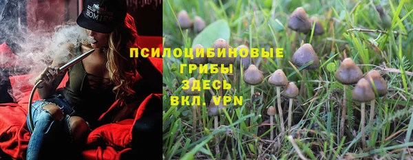 прущие грибы Абдулино
