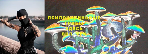 прущие грибы Абдулино