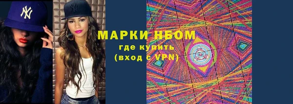 прущие грибы Абдулино