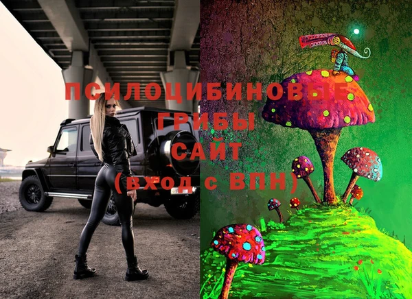 кокс Алексин