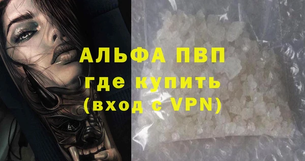 стаф Абинск