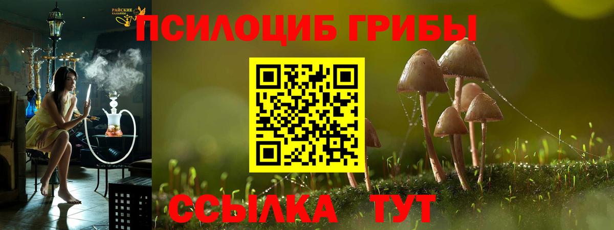 Галлюциногенные грибы мухоморы  Вход с VPN  купить наркотики цена  Нальчик 